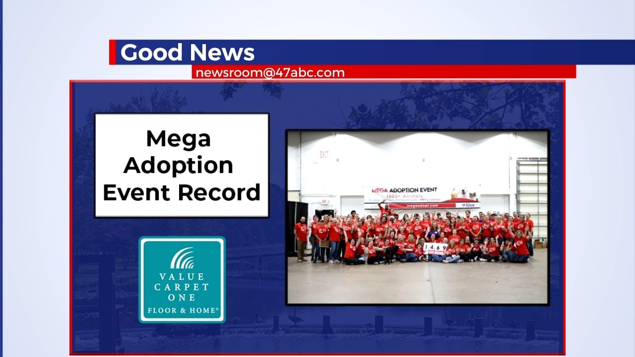 Brandywine Valley SPCA Mega Adoption Event Sets Record 47abc   60234e0e357374f1ab0ec5724ebd30a4b3146a0c 