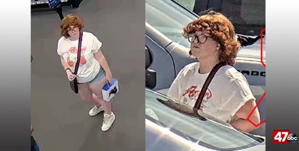 Dover Pd Theft Suspect