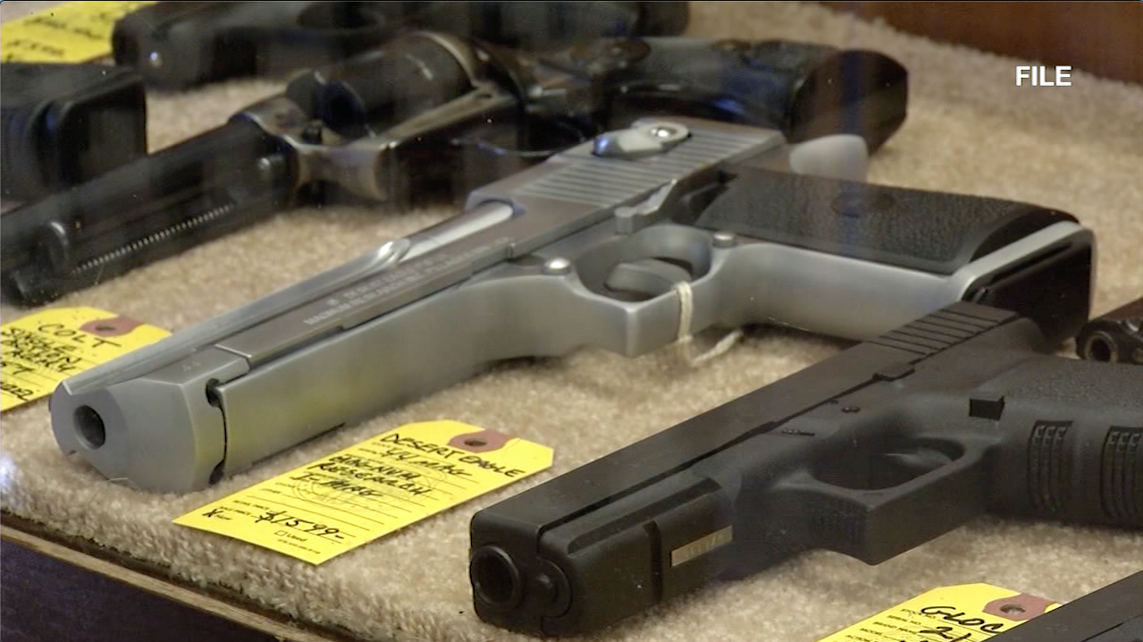 Delaware gun control advocates confident Permit to Purchase measure