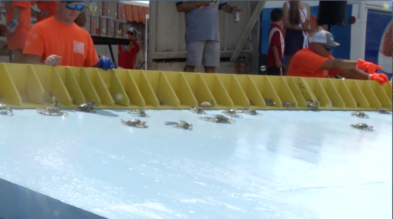Crabderby0831