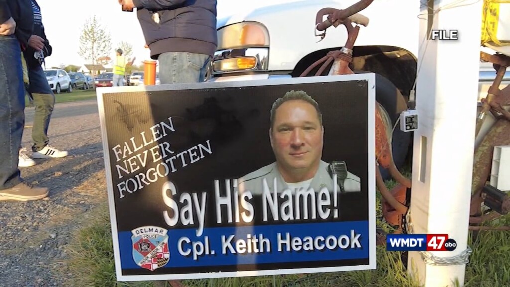 Heacook Fest Back On