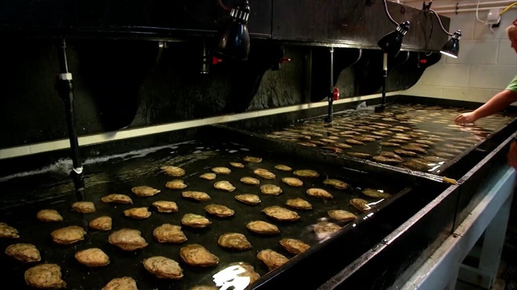 Oyster Farming Roundtable