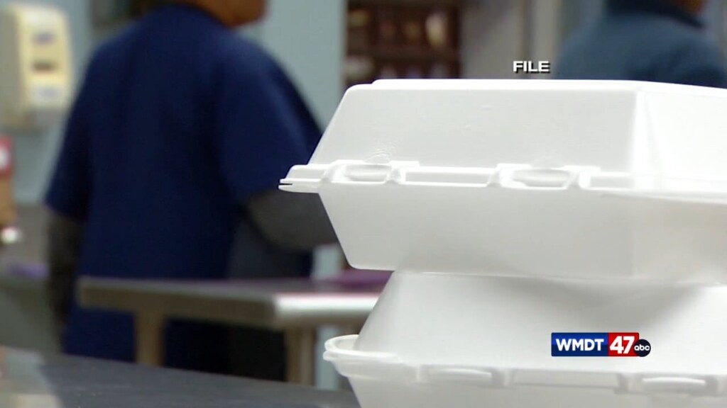 Fast Food Plastic Restrictions