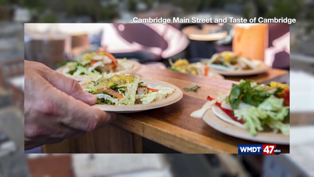 Taste Of Cambridge