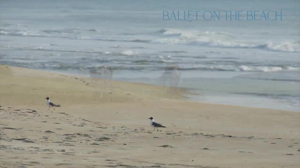 Ballet On The Beach Intv