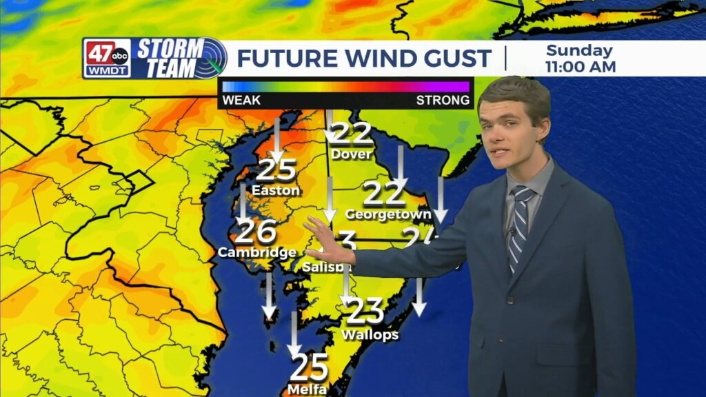 Overnight Forecast (10/15/23)