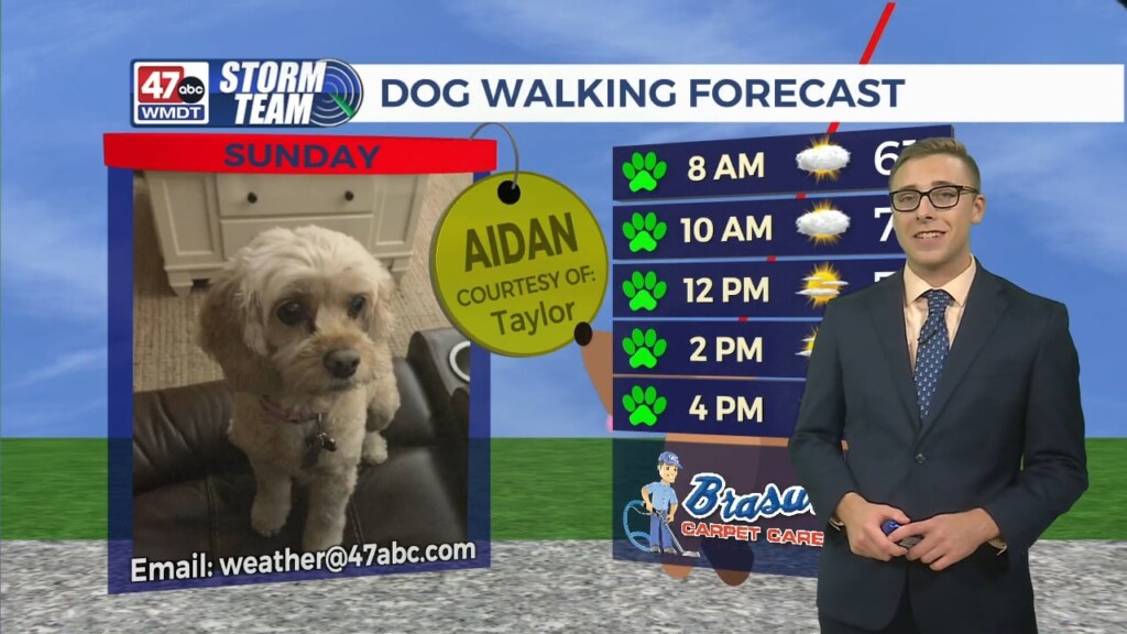 Evening Forecast 10/28/23