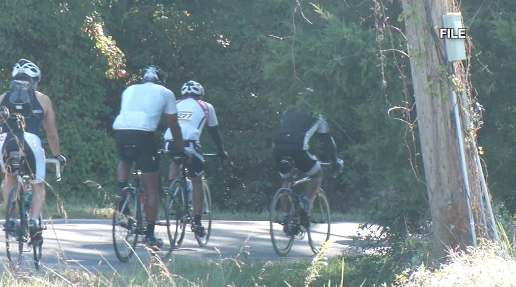 Seagull Century