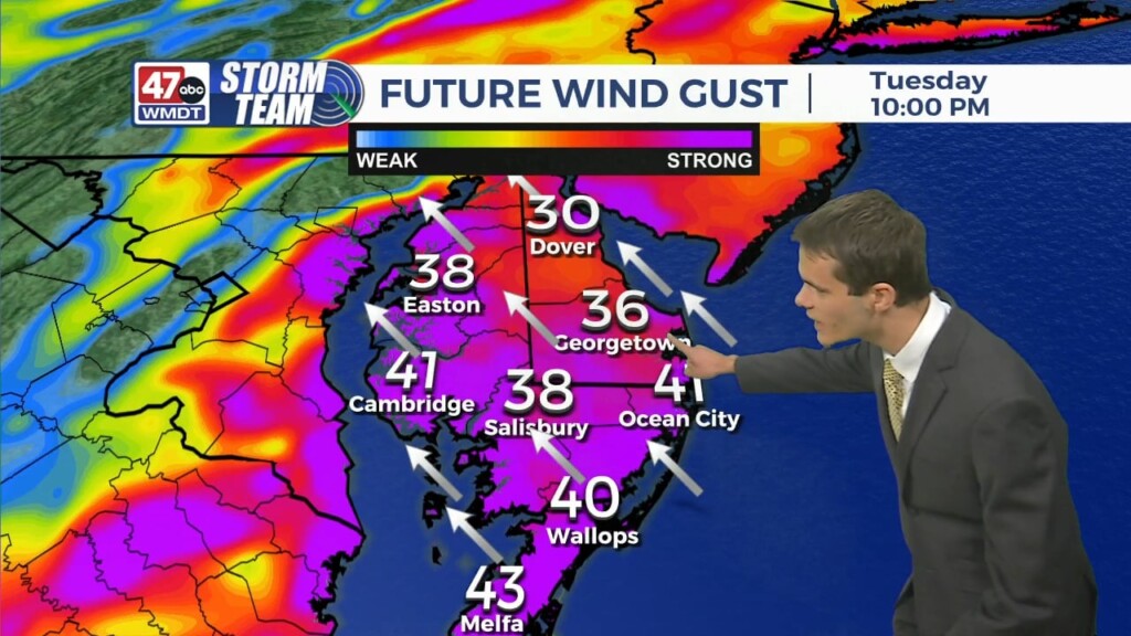 Overnight Forecast (11/20/23)