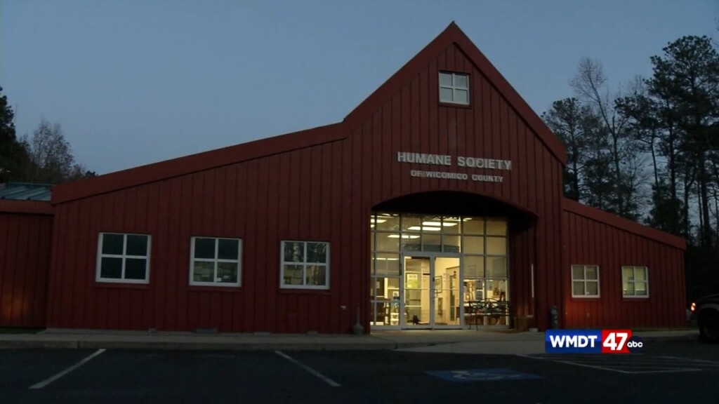 Non Profit Spotlight