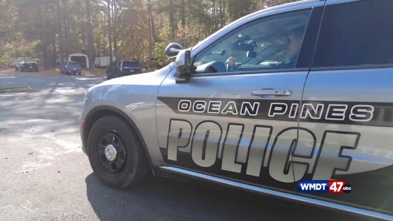 New Vision For Oppd