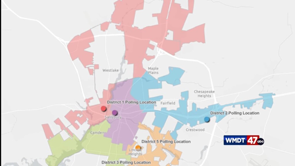 Municipal Elections Info