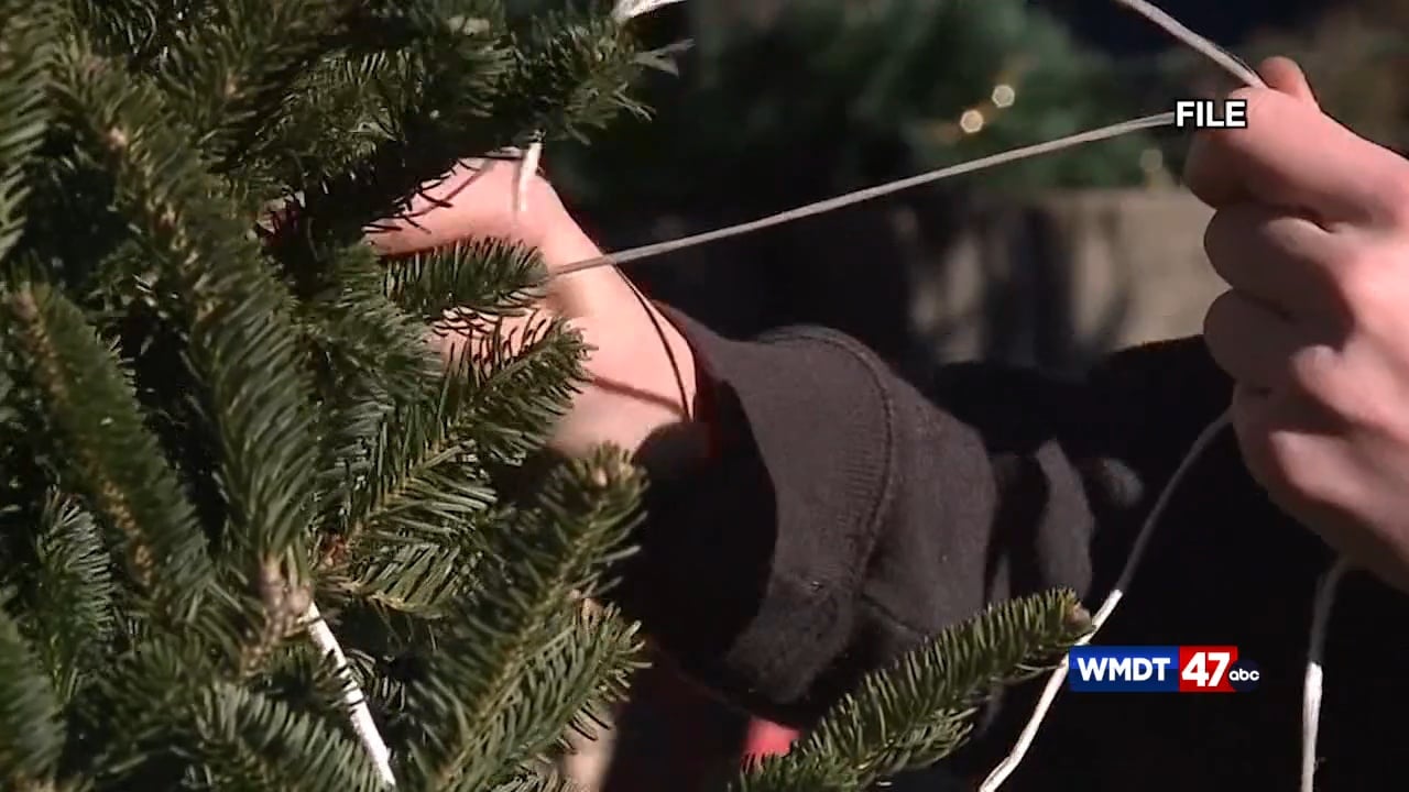 Dry Christmas trees can cause fire concern 47abc
