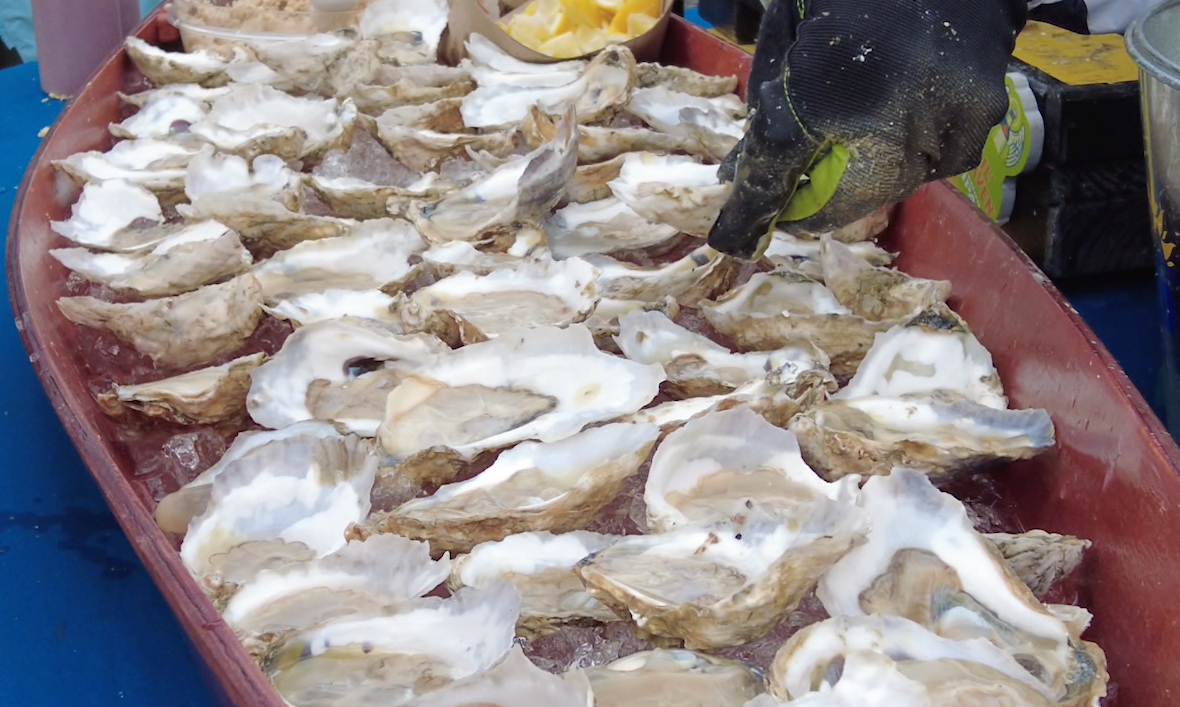 Ice and Oyster Festival making its way to Cambridge 47abc