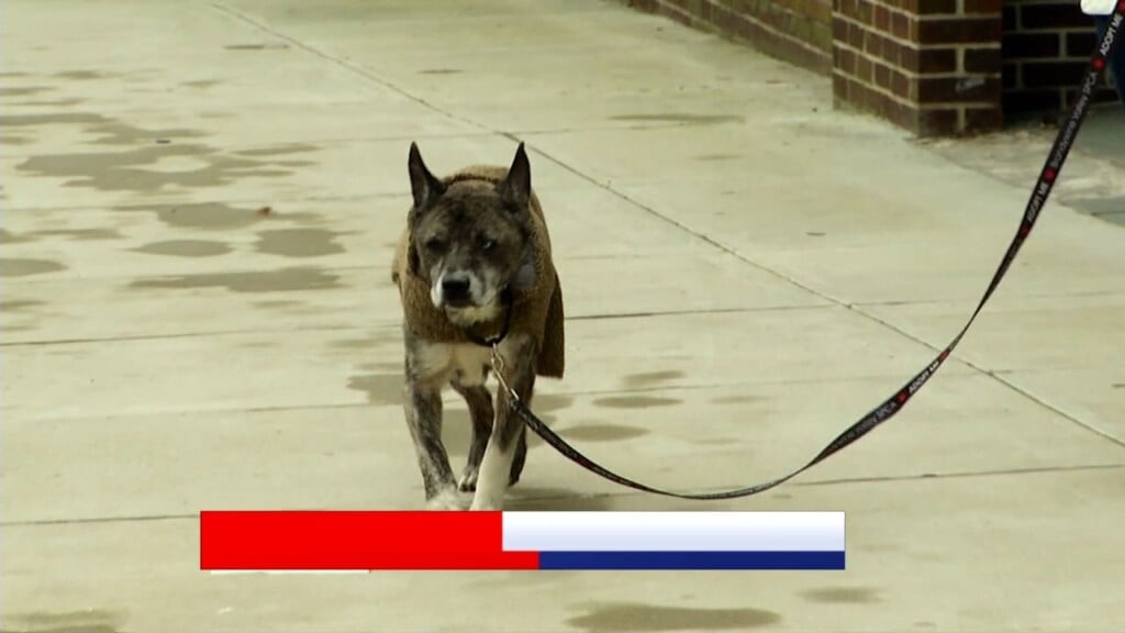 Pets On The Plaza: Meet Hyme