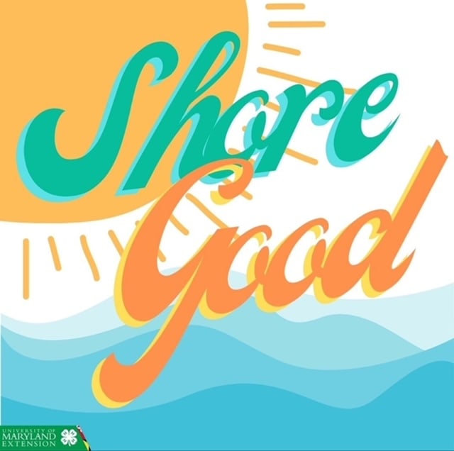 Shore Good