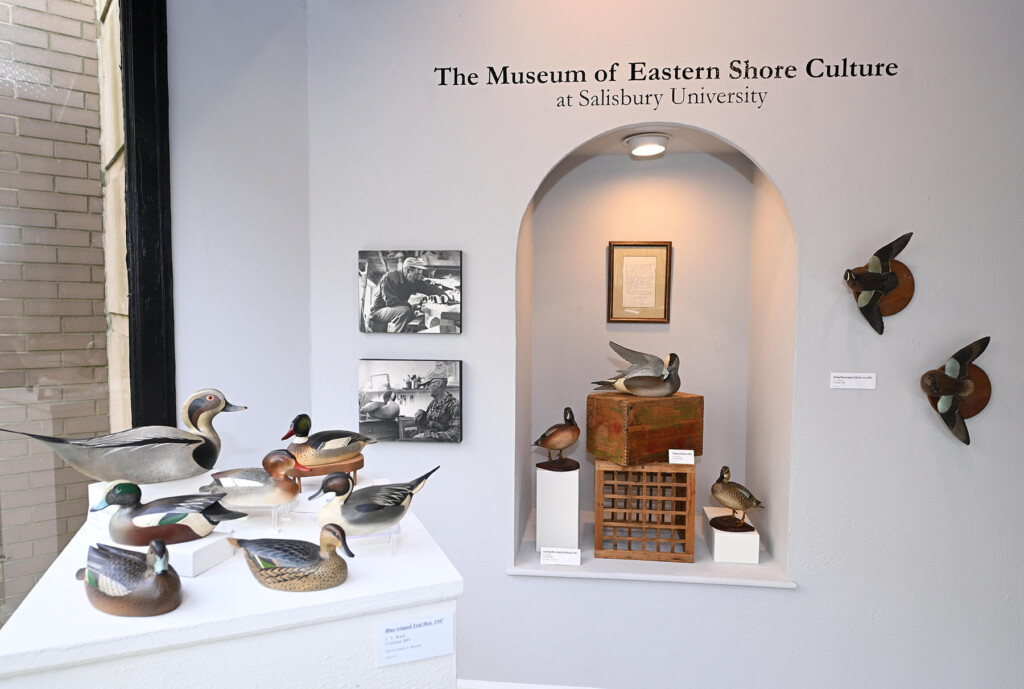 Museum Of Eastern Shore Culture At Salisbury University
