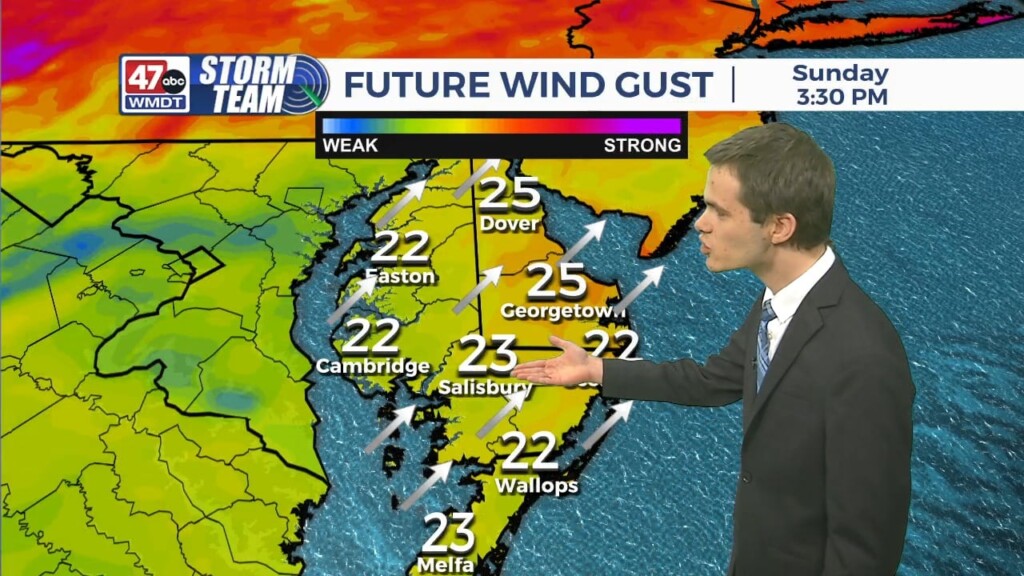 Overnight Forecast 2/18/24