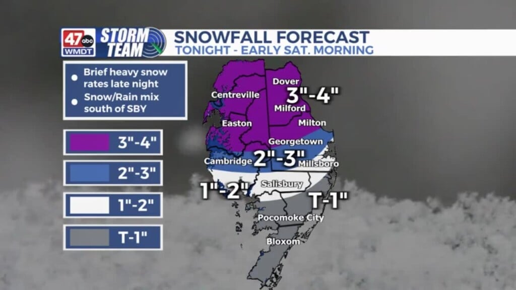 Snow Update 2 16 24