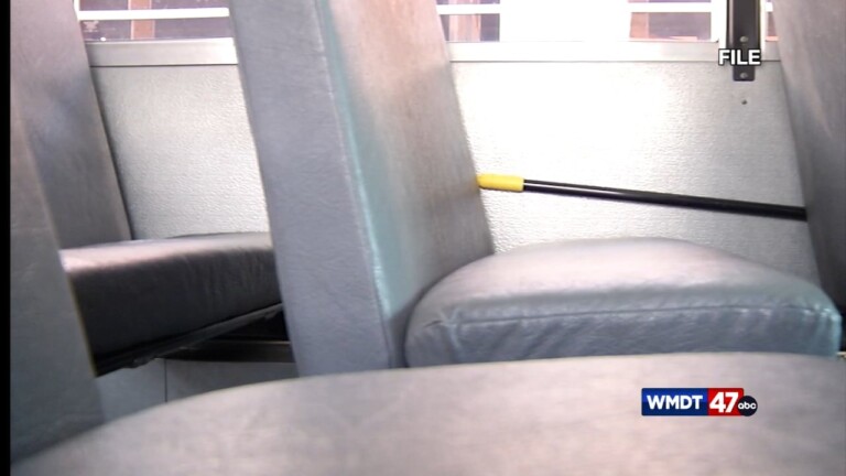 Seatbelt Bill Concerns