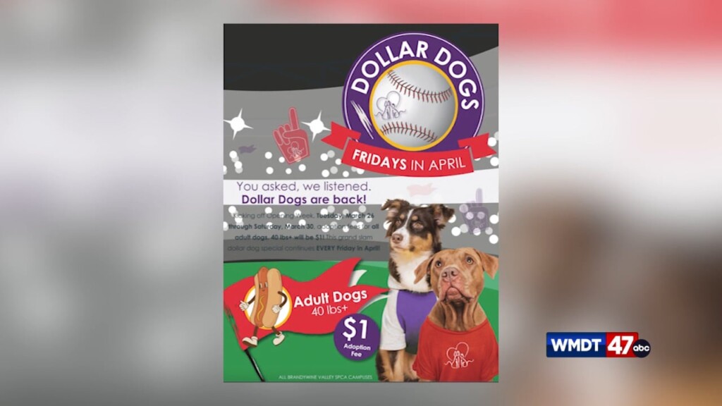 Dolalr Dogs