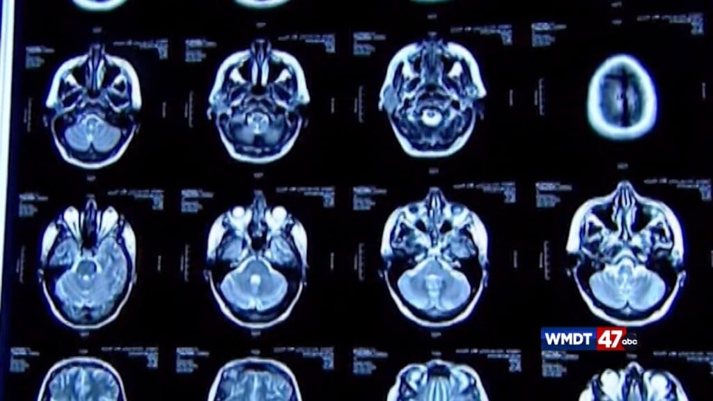 Brain Injury Awareness Month
