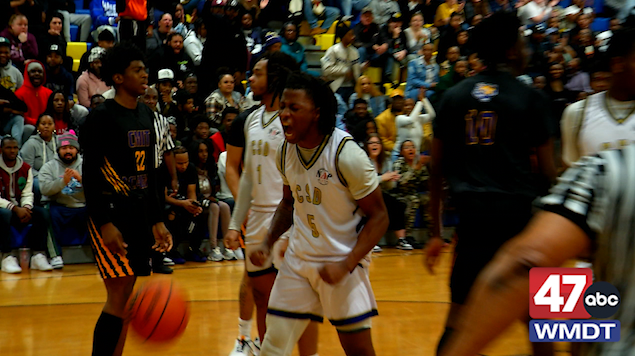 Csd Wins