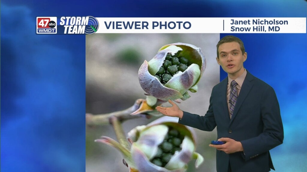 Overnight Forecast 3/18/24