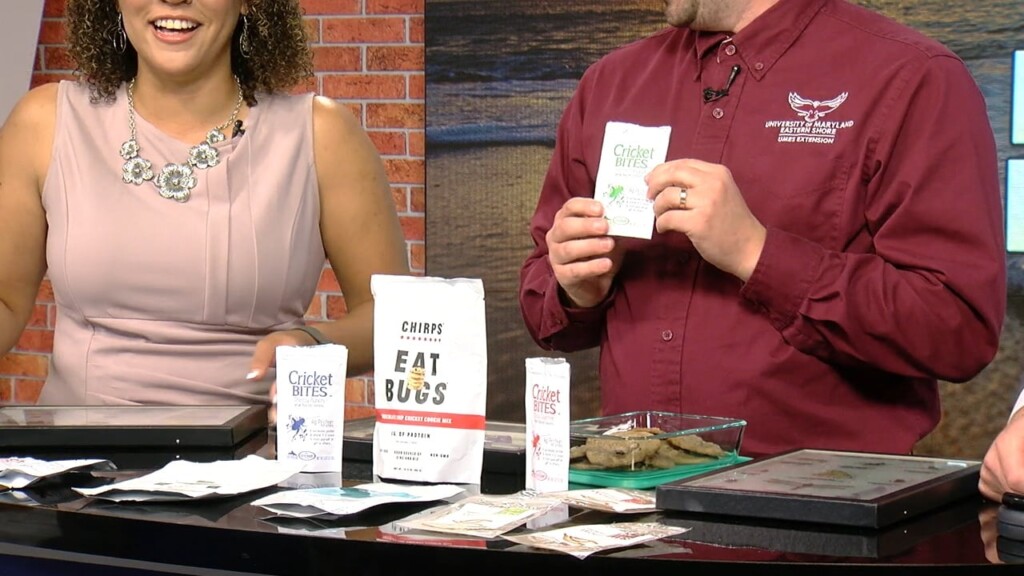 Brad Hartle's Edible Entomology