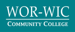 Wor Wic Logo Revprocessnf322 Copy