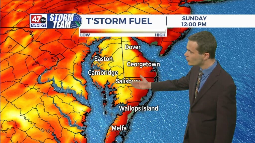 Overnight Forecast (05/26/24)