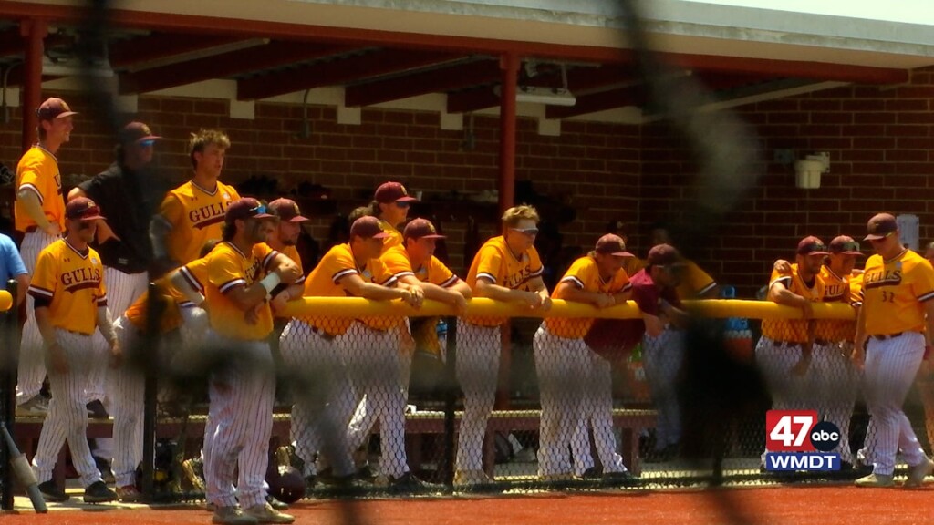 Salisbury Baseball Season Ends In Super Regionals