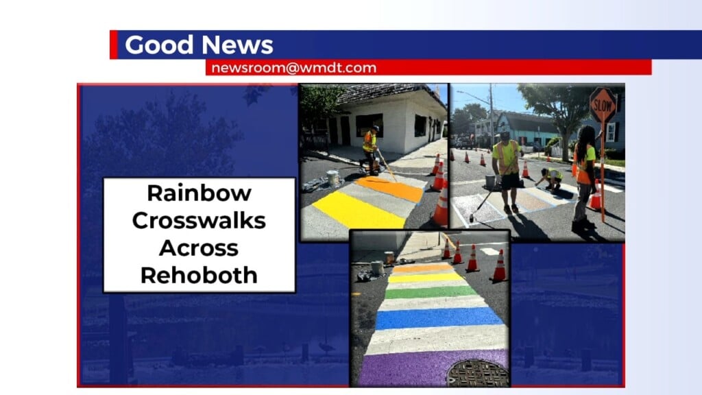 Good News Late 5.29.24