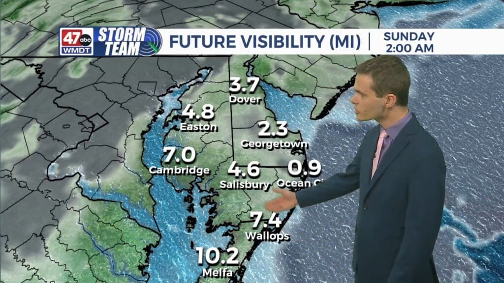 Overnight Forecast (05/19/24)