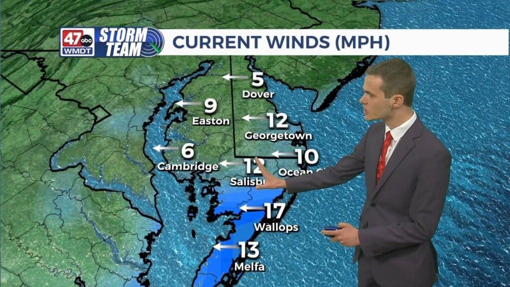 Overnight Forecast (05/04/24)