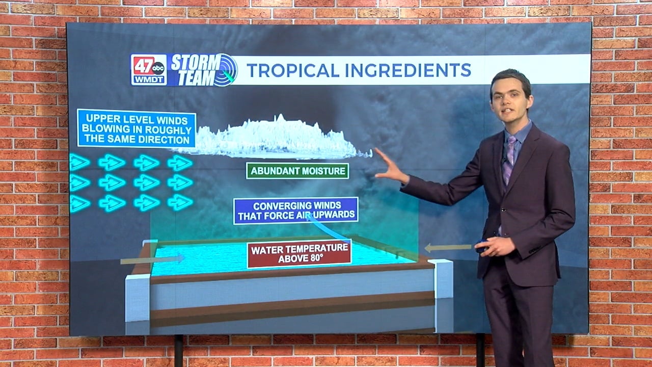 Weather Tidbits: Tropical Ingredients - 47abc