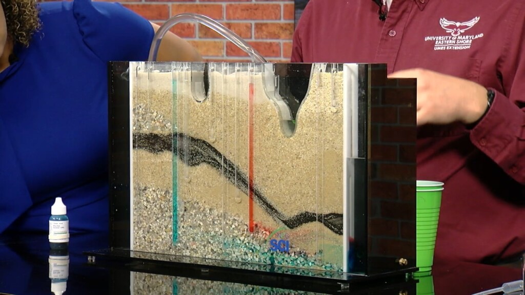 Stem Experiment: Groundwater Exploration