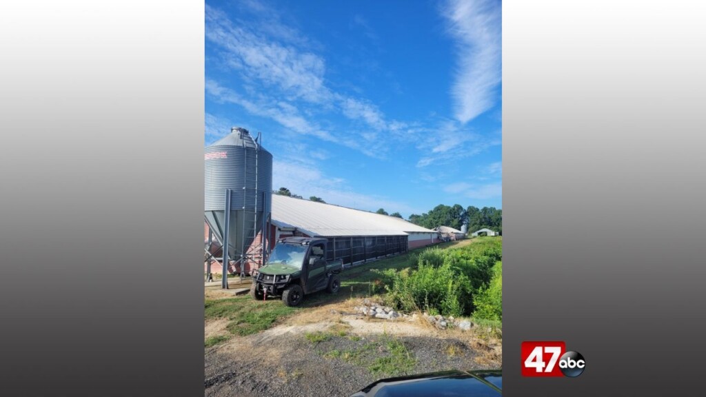 1280 Federalsburg Chicken House