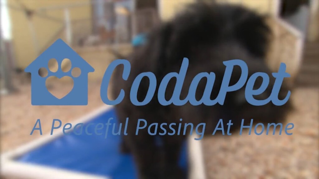 Codapet