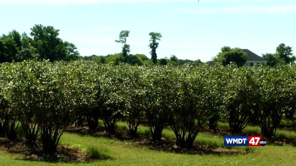 Discover Delmarva: Garden Of Eden