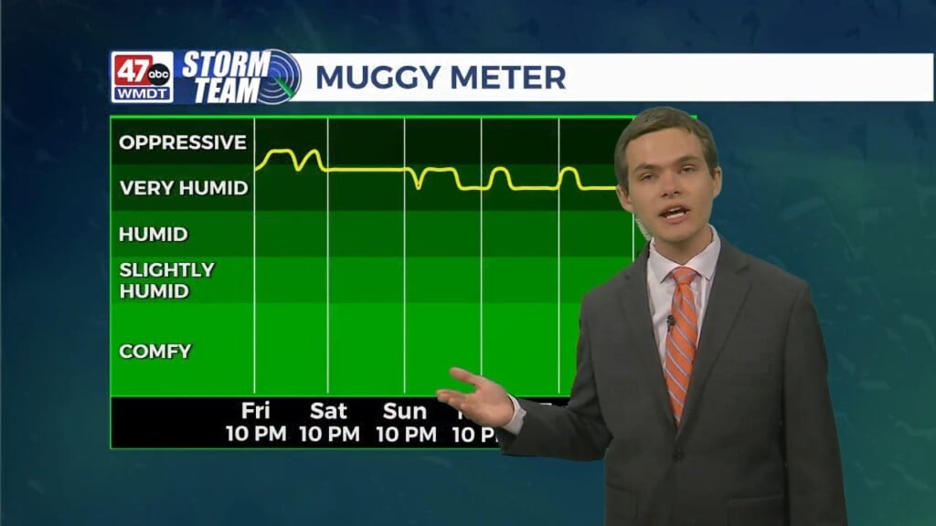 Overnight Forecast (07/06/24)