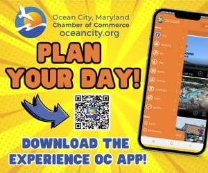 Experience Oc App Wmdt Qrcode