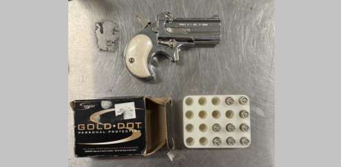 Camden Wyoming Gun