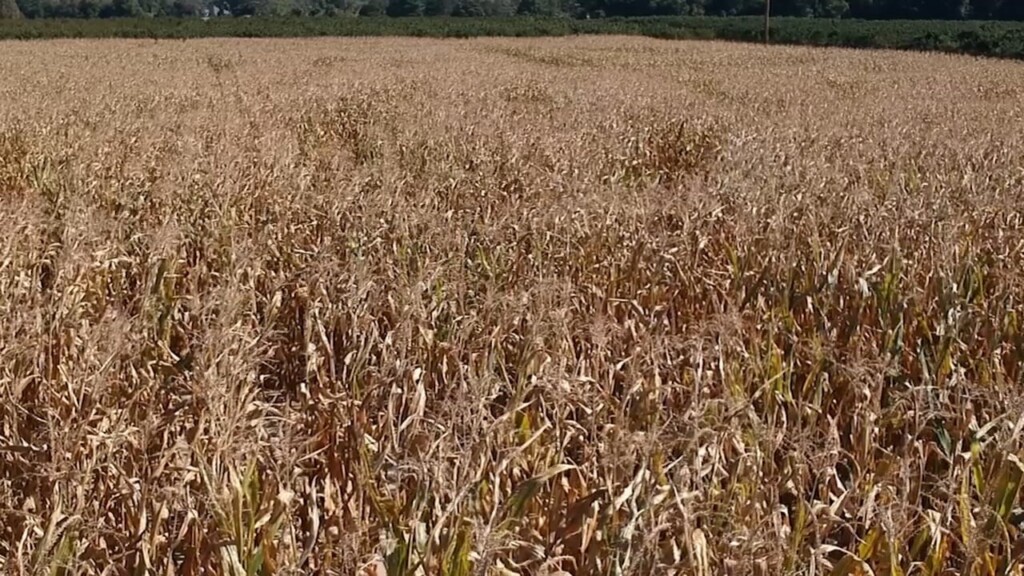 Drought Watch
