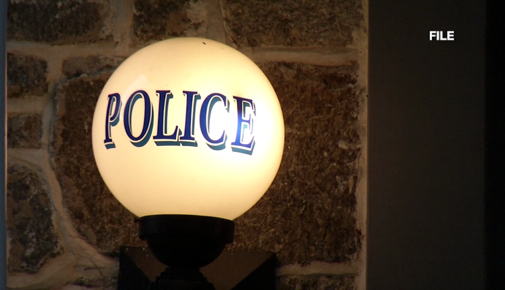 Genericpolice2