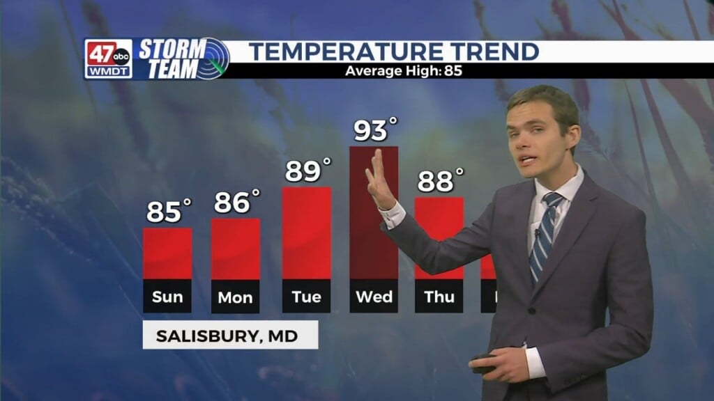 Overnight Forecast (08/24/24)