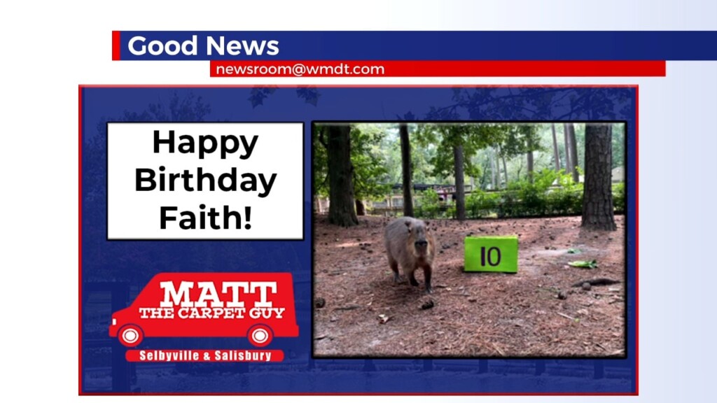 Good News Late 8.24.24