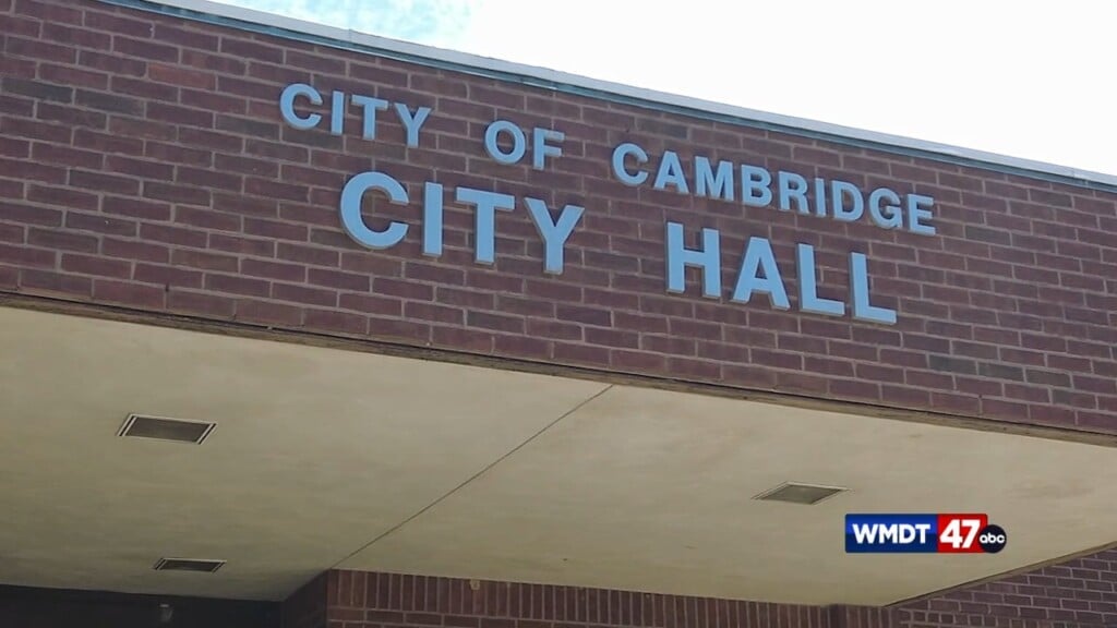 Cambridge Sidewalk Initiative
