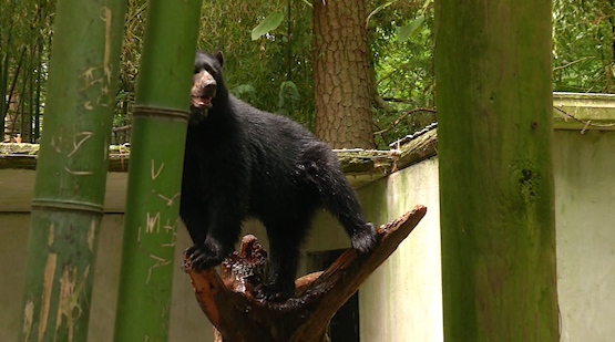 Zoo