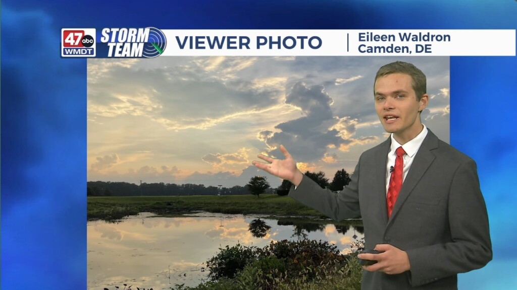 Overnight Forecast (08/19/24)